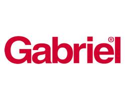 Gabriel G44902 - Amortiguador de gas