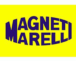 Magneti Marelli DJ0041 - Conmutador limpiaparabrisasa Peugeot