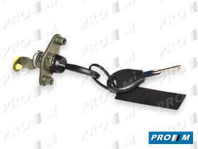 Valeo 252436 - Cerradura de portón Nissan Primera 5PD,Gas 90-96